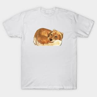 Golden Retriever T-Shirt